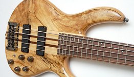 Bass-of-the-Week-05 NEWS Cort AP
