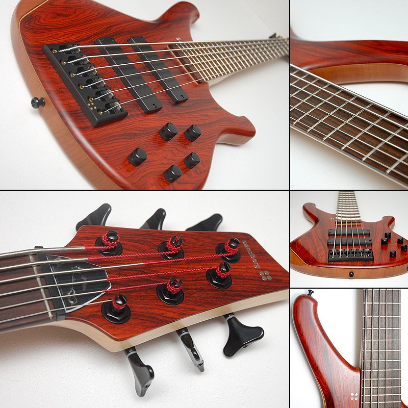 Bass-of-the-Week_Classic6