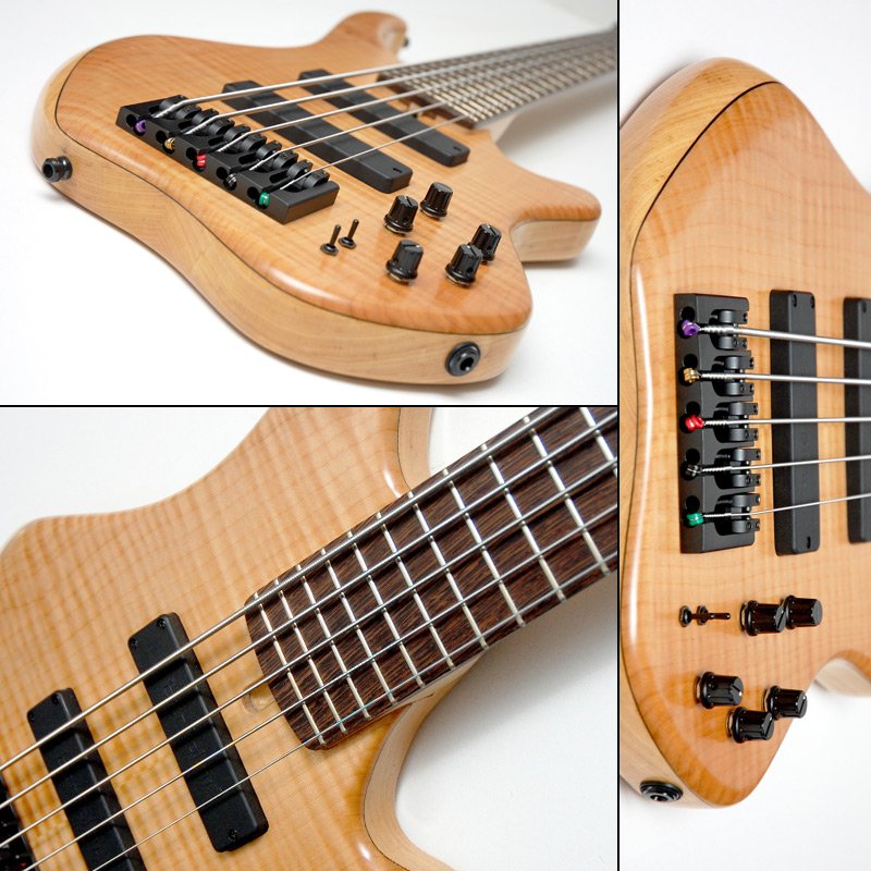 Bass-of-the-Week_Slither5