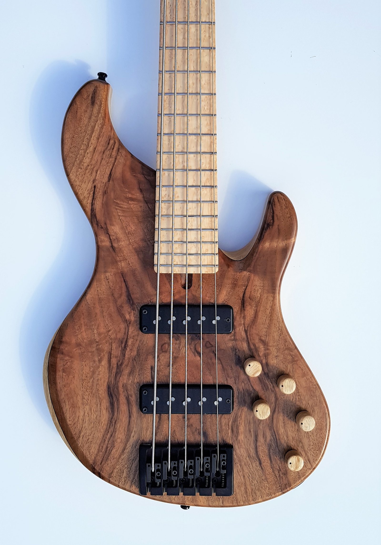 Dolan Custom 5 string